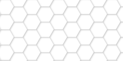 White luxury hexagons abstract background .white hexagon futuristic technology honeycomb pattern vector design .