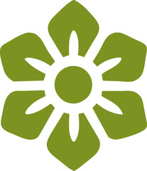 aesthetic flower decoration, boho element