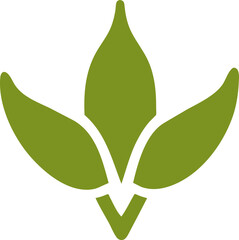 aesthetic flower decoration, boho element