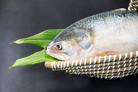 A Whole Hilsha fish in a boat-shaped handmade basket used as a gift hamper in festive occasions such as Jamai Shashthi, Pohela boishakh.