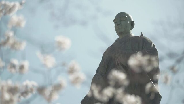 福井県あわら市 吉崎御坊 蓮如の里 蓮如上人 春 桜 公園 観光名所 スポット
