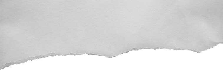 White ripped paper torn edges strips isolated on black background