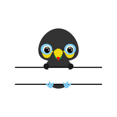 Obraz premium Cute toucan split monogram. Funny cartoon character for shirt, scrapbooking, greeting cards, baby shower, invitation. Bright colored childish stock vector illustration