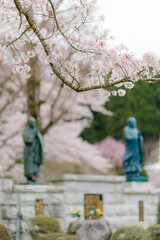 Obraz premium The sacred object of worship in Japan, located outdoors