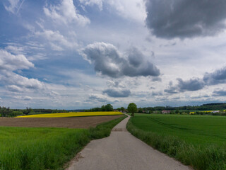 An idyllic view of a road winding through green fields in Altomünster, Bavaria, with an impressive sky and clouds.