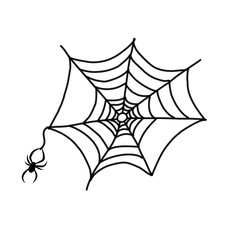 spider web line vector