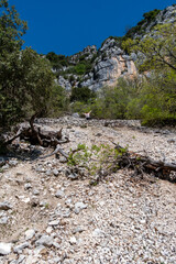 Happy waving woman with raised arms on the slopes of the Verdon Gorge in France