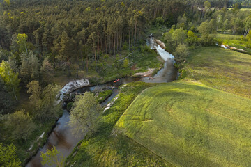 A small wild river in central Poland.