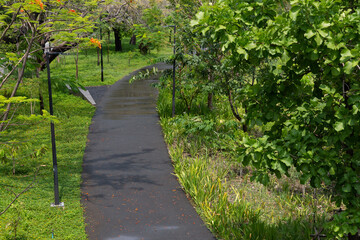 A walkway in the park where the ground is wet from the rain.