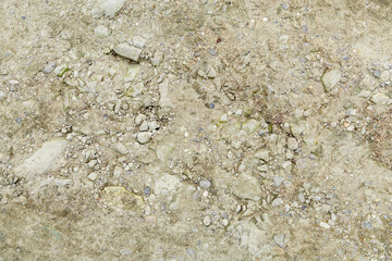 泥道に付いたタイヤの痕　Dirty country road with deep rut