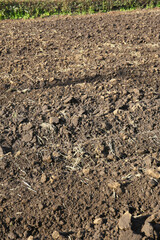 organic soil background