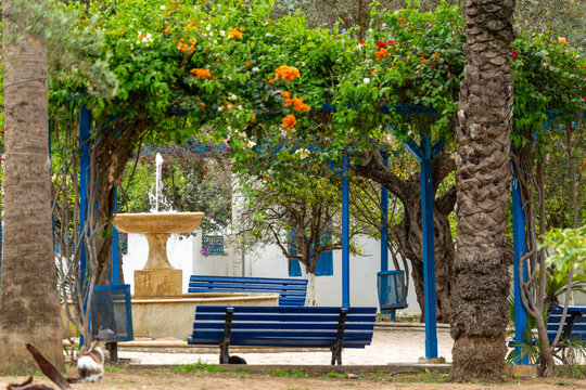 Fontaine sur une place entour&eacute;e d'orangers