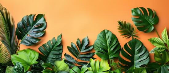 natural fresh tropical leaves on green background