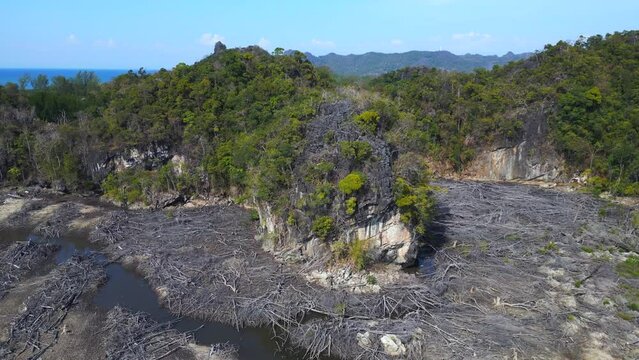 aftermath of mangrove deforestation in langkawi. Smooth aerial top view flight 
panorama orbit drone
4k