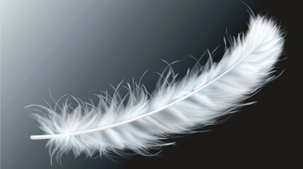 An abstract swirl of light fluffy plumage in the air is displayed on a transparent background in this png image that symbolizes lightness, angels flying trails, peace, hope, and faith.