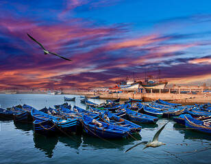 Essaouira Morocco - a flock of birds flying over a bunch of boats - Powered by Adobe