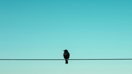 A lone bird perched on a wire against a clear blue sky.