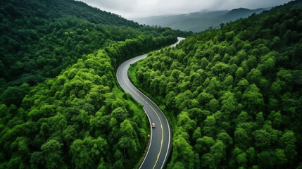 Aerial top view of beautiful curved road on green forest