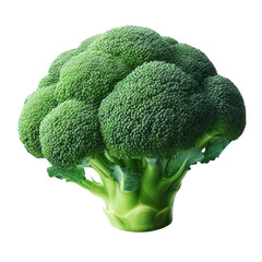 Fresh broccoli isolated on transparent background