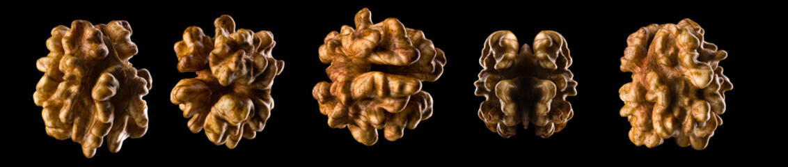 Macro photo of empty shell of walnut isolated on a black with clipping path