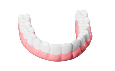 Human tooth model, white teeth, even teeth model, 3d rendering.