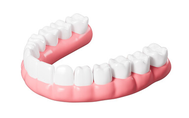 Human tooth model, white teeth, even teeth model, 3d rendering.