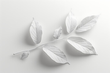 branch with leaves