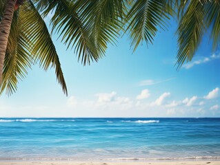Palm and tropical beach. Ocean Tropical Beach.