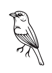 Monochrome Bird Vector Isolated Illustration