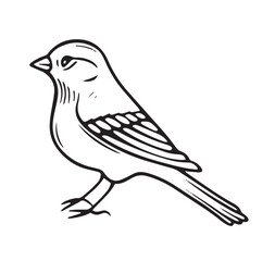Monochrome Bird Vector Isolated Illustration