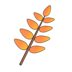 autumn leaf isolated