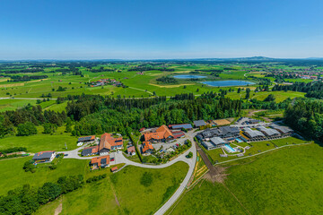 Frühsommerliche Natur im Allgäu am Schwaltenweiher nahe des Luftkurortes Seeg 