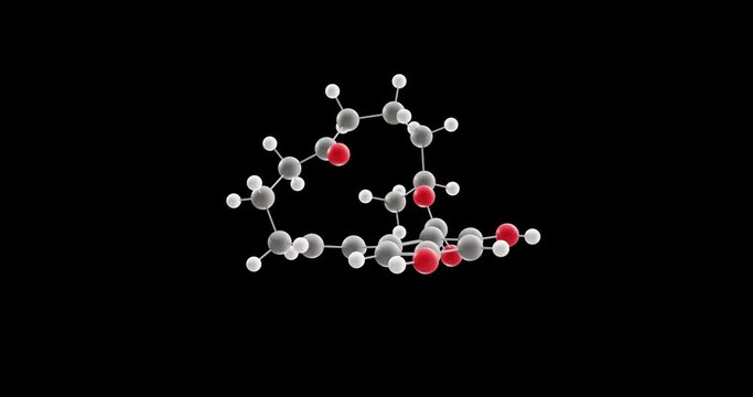 Zearalenone molecule, rotating 3D model of estrogenic metabolite, looped video on a black background