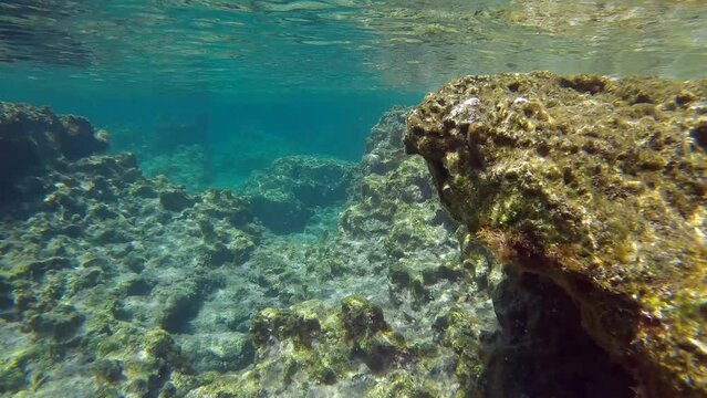 Relief of rock reef under water surface on shallow water, Natural underwater landscape, Slow motion, Mediterranean Sea, Rhodes island,  Greece