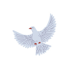 Dove in flight vector illustration
