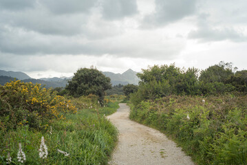 Camino rural en zona montañosa con cielo nublado