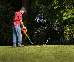 Man cleaning fallen leaves using a leaf blower on the lawn. Auckland.