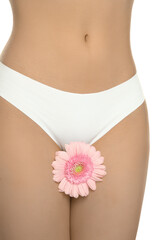 Gynecology. Woman in underwear with gerbera flower on white background, closeup