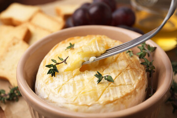 Taking tasty baked camembert with fork from bowl on table, closeup
