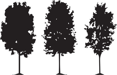 tree silhouette vector illustration