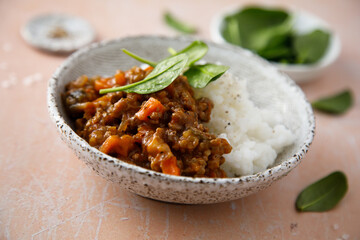 Beef ragout with white rice