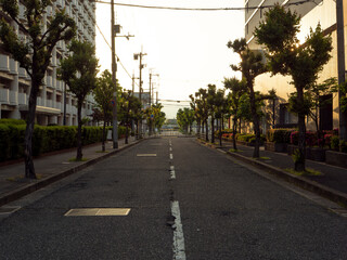 Fototapeta premium 朝焼けに照らされた街の風景