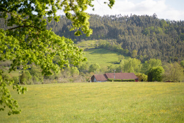 Tejado de casa rural tras pradera verde en Asturias © Darío Peña