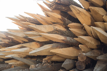 Pila de estacas de madera con punta afilada 
