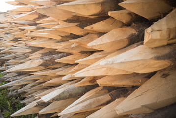 Pila de estacas de madera con punta afilada 