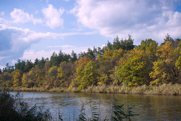 autumn forest, river, blue sky, fall, yellow and green trees
