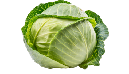 Cabbage isolated on transparent background
