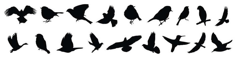 Set of black bird silhouettes. Vector elements for design. Silhouettes of birds different pack of bird silhouettes.
