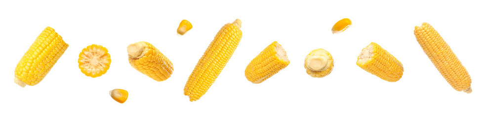 Set of ripe corn cobs on white background