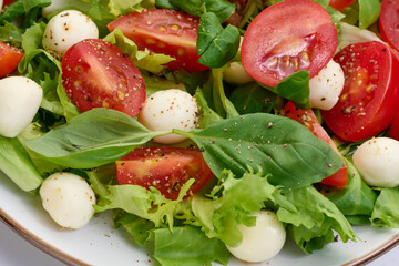 Salad with mozzarella, cherry tomatoes and green lettuce in a white round plate